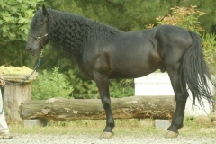 CE2D5127