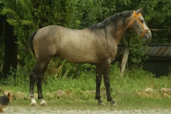 CE2D5164