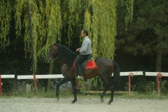 CE2D5342