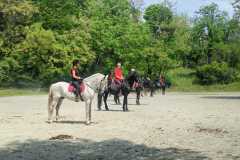 IMG-20250526-WA0031