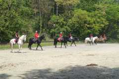 IMG-20250526-WA0036