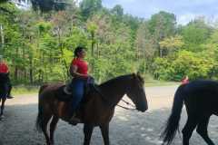 IMG-20250526-WA0059