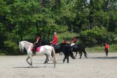 IMG-20250526-WA0070