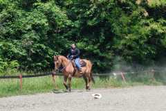 IMG-20250526-WA0083