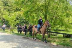 IMG-20250526-WA0085