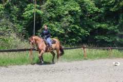 IMG-20250526-WA0086