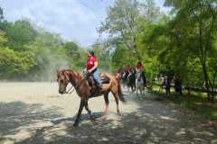 IMG-20250526-WA0112