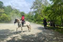 IMG-20250526-WA0117