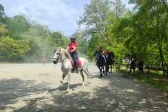 IMG-20250526-WA0118
