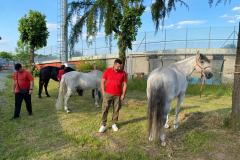IMG-20250526-WA0149