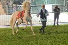 IMG-20250526-WA0194